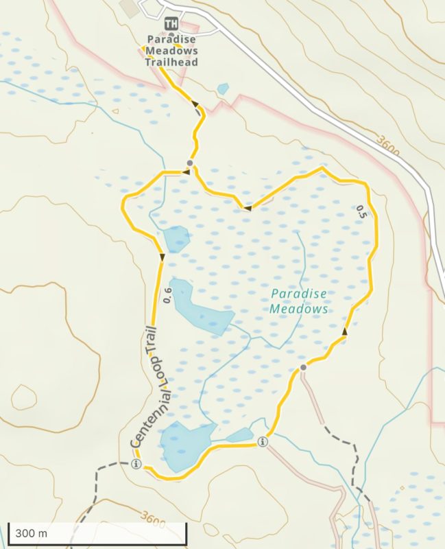 Paradise Meadows Trail Map Park Maps & Access – Strathcona Wilderness Institute