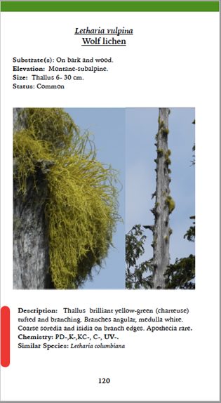 Lichen Field Guide - Preview